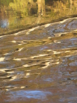 SX32150 Reflection of Blackweir bridge.jpg